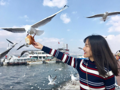 一根藤上七朵花！MBA和他的六個小兄弟