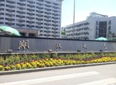 湖北大學MPA廣東班VIP調(diào)劑簡章