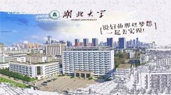 廣東MBA考研調(diào)劑湖北大學(xué)有什么條件？